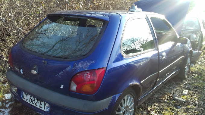 Pelletier Monnier Marie - Photo 2