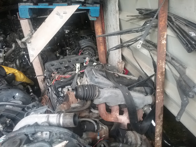 Pelletier Monnier Marie - Photo 3