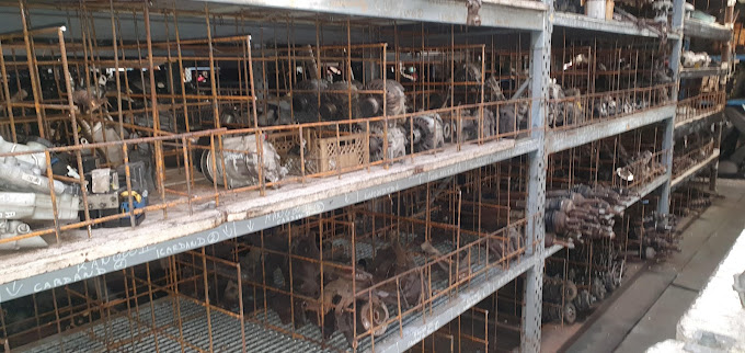 Benoît Rino - Photo 2