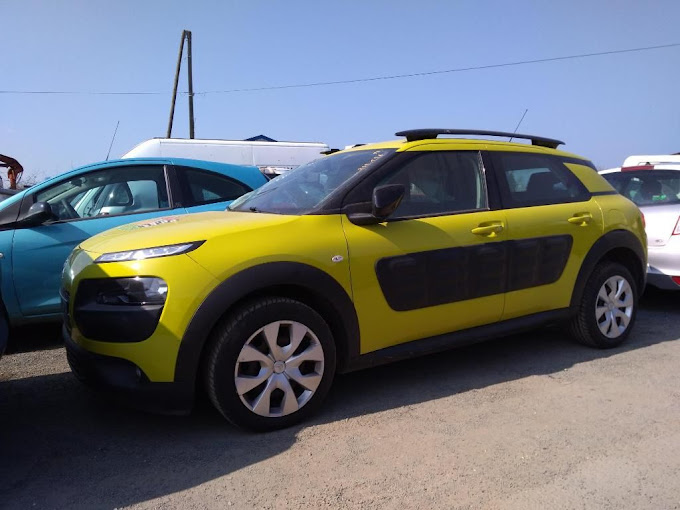 ETABLISSEMENT PASSARD - Photo 4