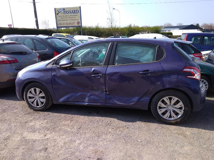 ETABLISSEMENT PASSARD - Photo 6