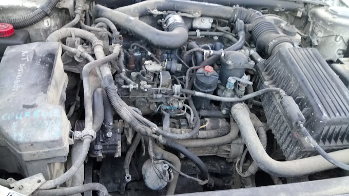 Pican Hervé - Photo 2