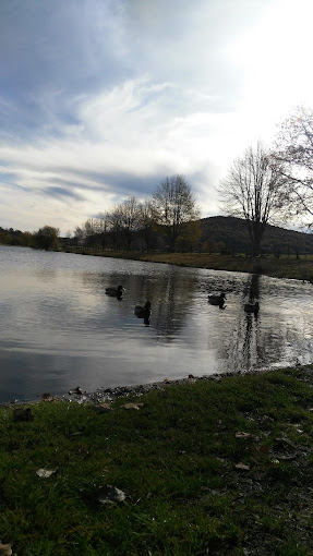 Hinderchied Jean Luc - Photo 2