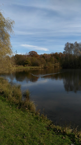 Hinderchied Jean Luc - Photo 3