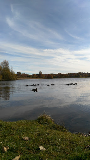 Hinderchied Jean Luc - Photo 5