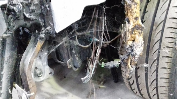 Sarl Aupy Frères Casse Auto Cognac Charente 16 - Photo 5