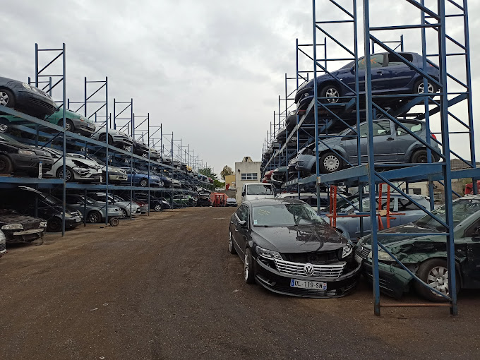 LÉOPARD AUTOMOBILE - Photo 2