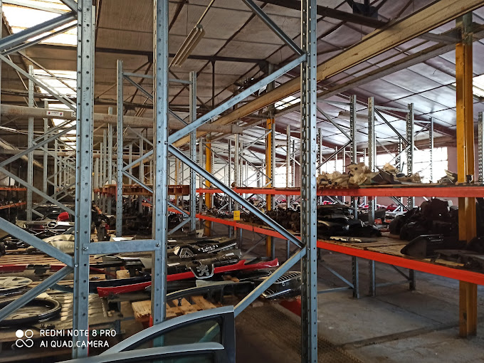 LÉOPARD AUTOMOBILE - Photo 6