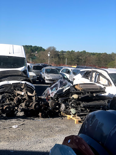 BTVA (Groupe Dubourg Automobiles) - Photo 6