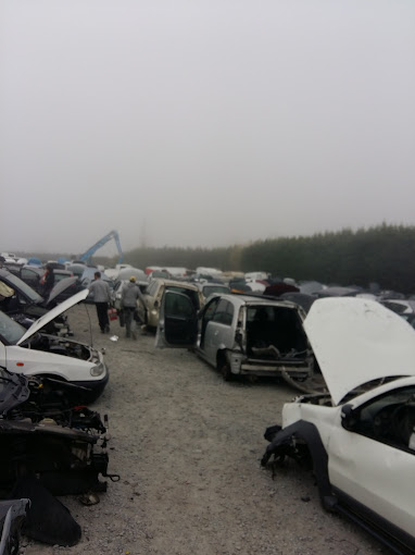 Dubourg Automobiles - Photo 3