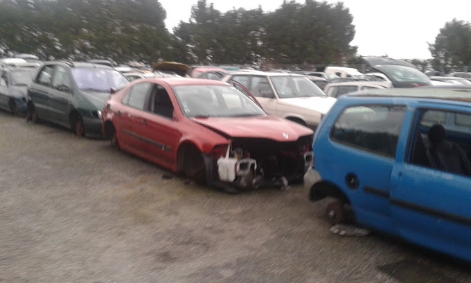 Tresses Récupération Auto - Photo 3