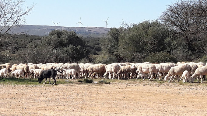 FERT RECYCLAGE Montpellier - Photo 3