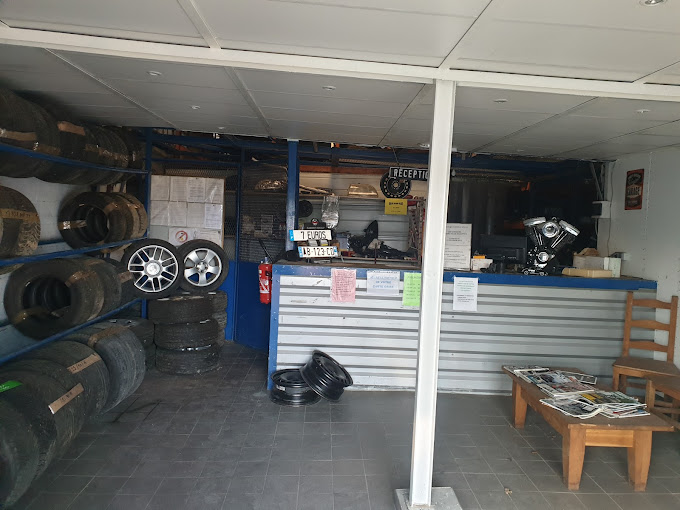 AUTO SCRATCH MORALES - Photo 6