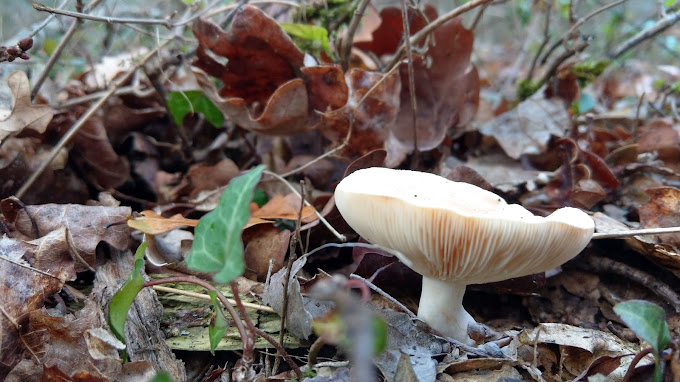 DECONS SAS - Photo 5