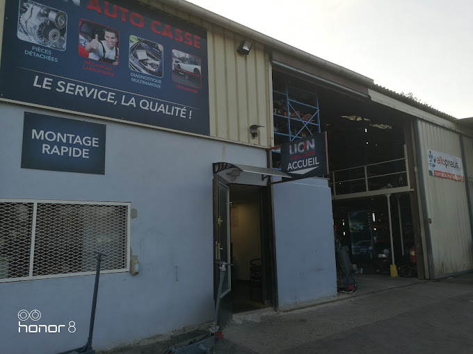 Lion Auto Casse - Photo 4