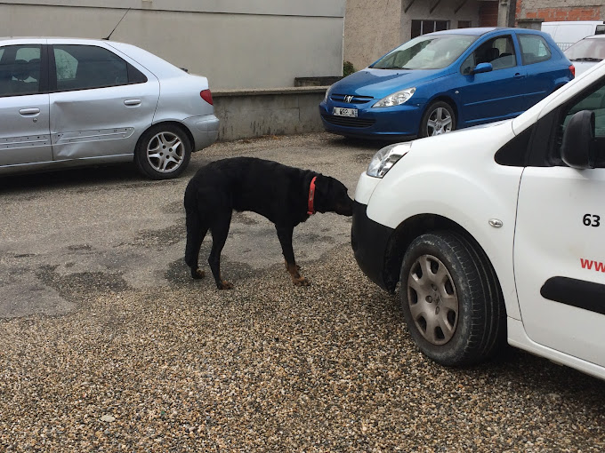 Garage Céréa - Photo 3