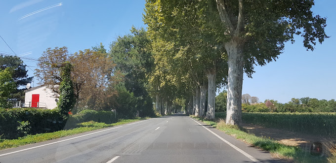 Garage Céréa - Photo 5