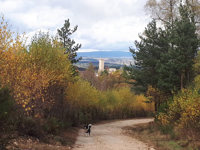 Allo Récup Autos - Photo 5
