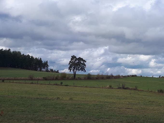 Allo Récup Autos - Photo 6