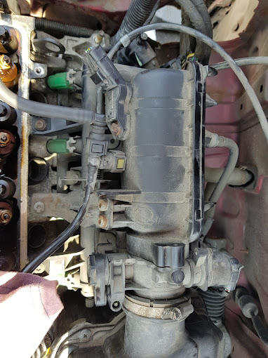 Cornelio Fréres - Photo 5