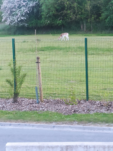 Baudelet Environnement - Photo 3