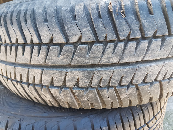 Fallone Raphael - Photo 2