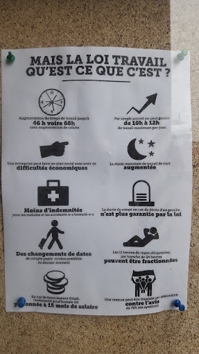 Fallone Raphael - Photo 3