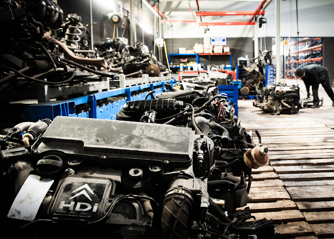 CARECO Saint-Witz - Photo 5